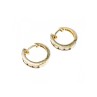 925 Sterling Silver Gold Plated CZ Earrings