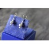 925 Sterling Silver Earrings