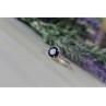 925 Sterling Silver Sapphire Classic Ring Size 8
