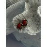 925 Sterling Silver Carnelian Stud Earrings Length 0.40 Inch