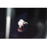 925 Sterling Silver Pink Agate Ring Size 6.5