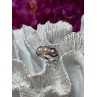925 Sterling Silver Pearls Ring Size 6