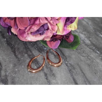 925 Sterling Silver Gold Plated Earrings