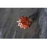 925 Sterling Silver Orange CZ Ring Size 8
