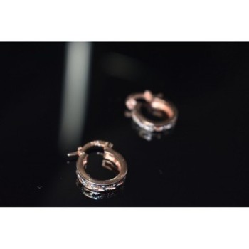 925 Sterling Silver Gold Plated Earrings