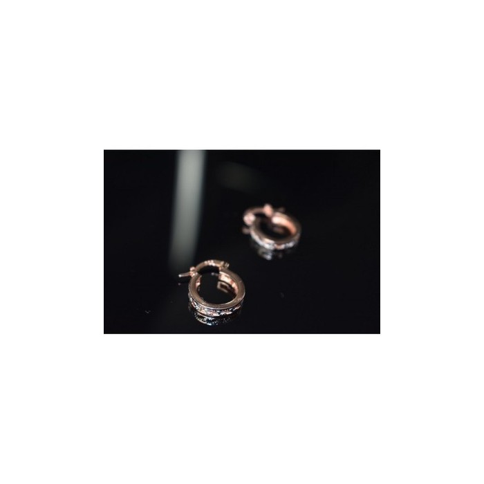 925 Sterling Silver Gold Plated Earrings