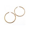 925 Sterling Silver Gold Plated (10k) Hoop Earrings
