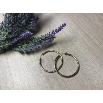 925 Sterling Silver Gold Plated (10k) Hoop Earrings
