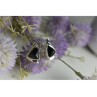 925 STERLING SILVER BLACK NEPHRITE EARRINGS