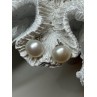 925 STERLING SILVER FRESH WATER PEARL EARRINGS LENGTH 0.5 Inch