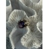 925 Sterling Silver Amethyst Ring Size 6.5