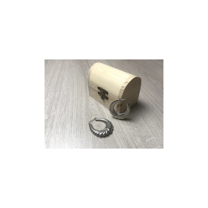 925 Sterling Silver Earrings