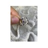 925 Sterling Silver Blue & White CZ Earrings