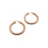 925 Sterling Silver Gold Plated Earrings
