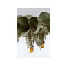 925 Sterling Silver Amber Earrings