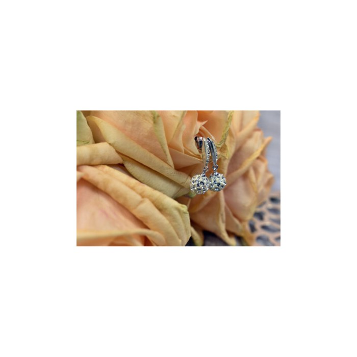 925 Sterling Silver Earrings