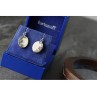 925 STERLING SILVER MOTHER OF PEARL EARRINGS