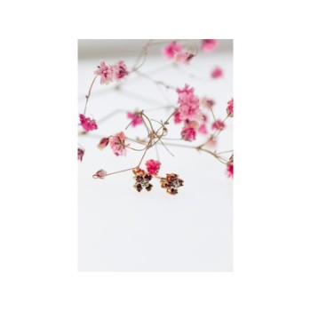 14k Yellow Gold Ruby & Diamonds Earrings