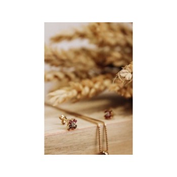 14k Yellow Gold Ruby & Diamonds Earrings