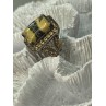 925 STERLING SILVER YASHMA CITRINE & BERYL RING SIZE 6