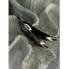 925 Sterling Silver Brooch Leaves Width 2.1 Inch