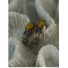 925 Sterling Silver Yellow Opal & Tanzanite Earrings Length 0.70 inch