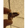925 STERLING SILVER GOLD PLATED MORGANITE & AMETHYST RING SIZE 6