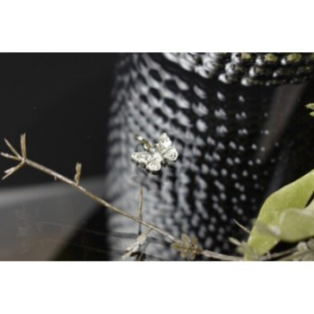 925 Sterling Silver CZ Butterfly Pendant