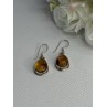 925 Sterling Silver Amber Earrings Length 1.30 Inch