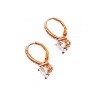 925 Sterling Silver Gold Plated CZ Earrings