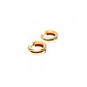 925 Sterling Silver Gold Plated Earrings